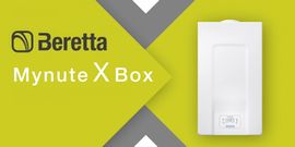 Caldaia Beretta Mynute X Box 25 C